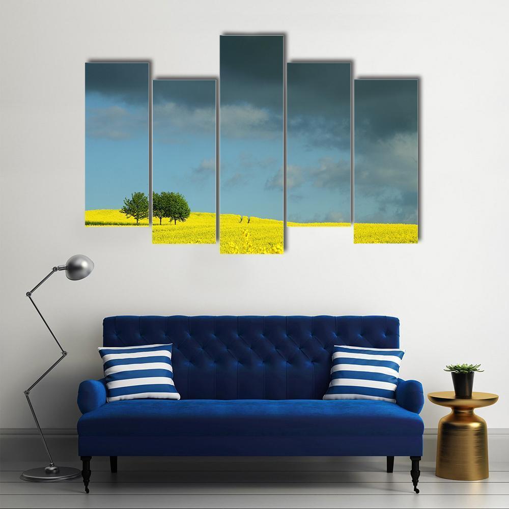 Summer In Denmark Rapse Field Canvas Wall Art-5 Pop-Gallery Wrap-47" x 32"-Tiaracle