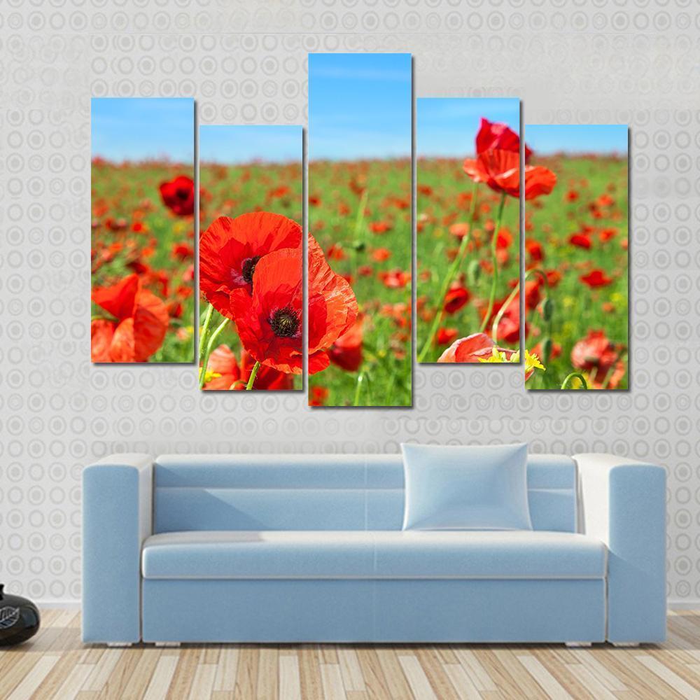 Summer Landscape Wild Poppy Flowers Field Canvas Wall Art-5 Pop-Gallery Wrap-47" x 32"-Tiaracle