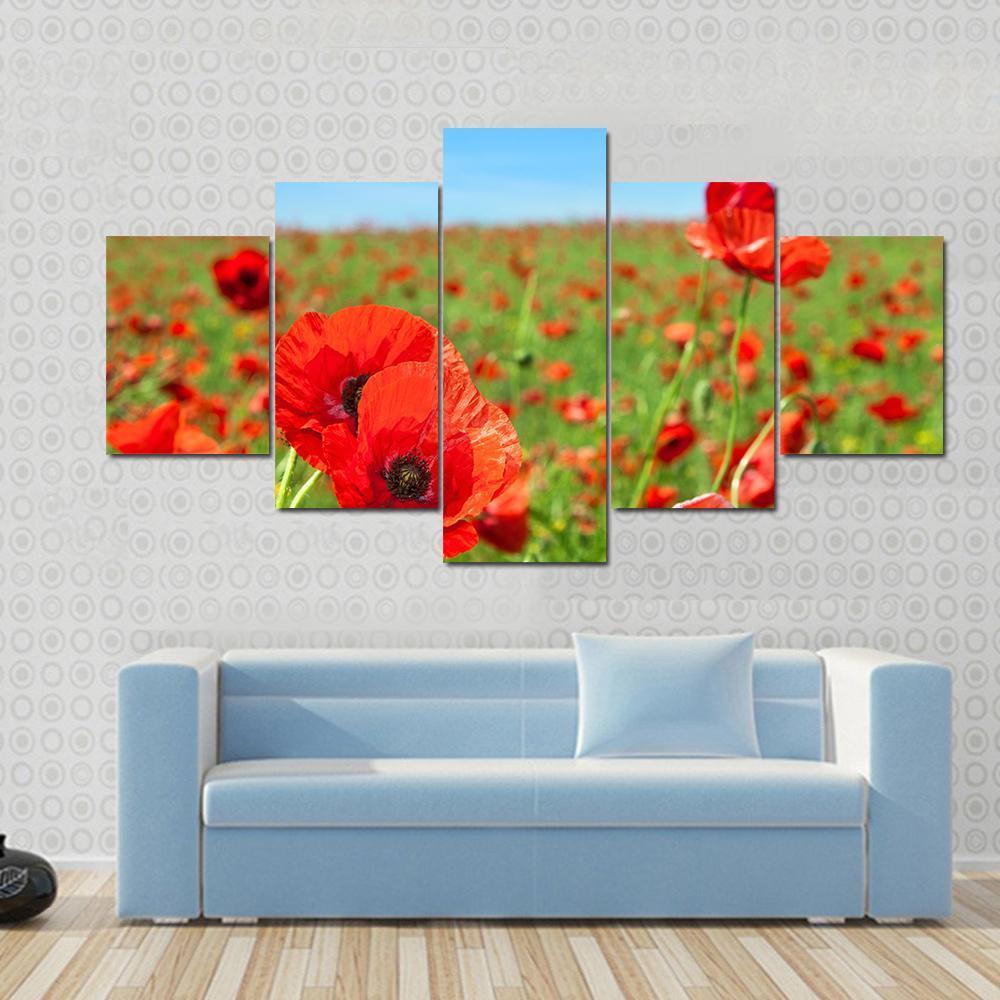 Summer Landscape Wild Poppy Flowers Field Canvas Wall Art-5 Star-Gallery Wrap-62" x 32"-Tiaracle
