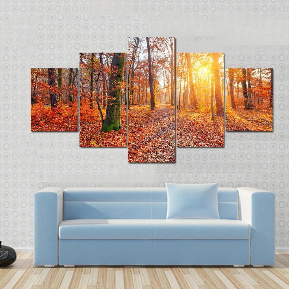 Sun In Autumn Forest Canvas Wall Art-5 Star-Gallery Wrap-62" x 32"-Tiaracle