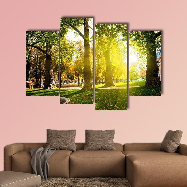 Sun Rays In Green Park Canvas Wall Art-4 Pop-Gallery Wrap-50" x 32"-Tiaracle