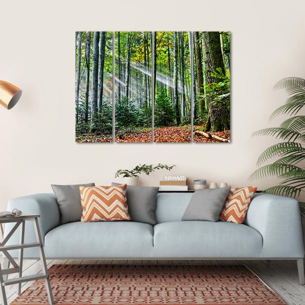 Sun Rays In The Forest Canvas Wall Art-4 Horizontal-Gallery Wrap-34" x 24"-Tiaracle