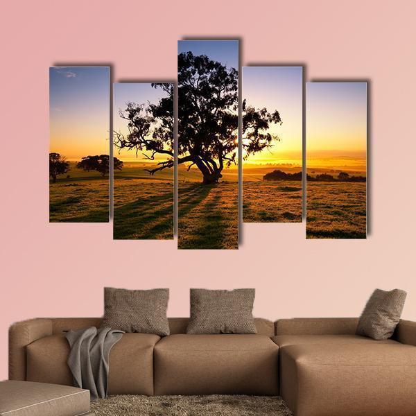 Sun Rises Over The Clare Valley In South Australia Canvas Wall Art-5 Pop-Gallery Wrap-47" x 32"-Tiaracle