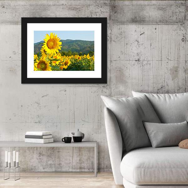 Sunflower Field And Green Mountains Canvas Wall Art-3 Horizontal-Gallery Wrap-25" x 16"-Tiaracle
