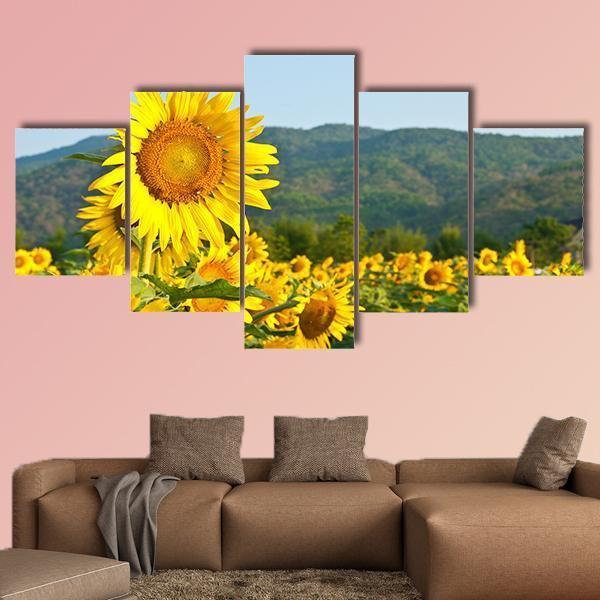 Sunflower Field And Green Mountains Canvas Wall Art-5 Star-Gallery Wrap-62" x 32"-Tiaracle