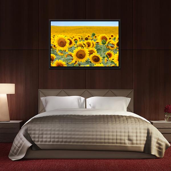 Sunflower Field Canvas Wall Art-3 Horizontal-Gallery Wrap-25" x 16"-Tiaracle