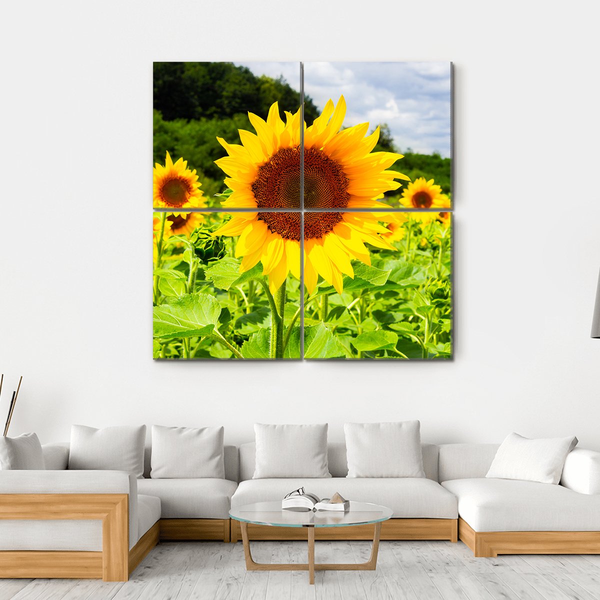 Sunflower Field In Sunny Weather Canvas Wall Art-4 Horizontal-Gallery Wrap-34" x 24"-Tiaracle