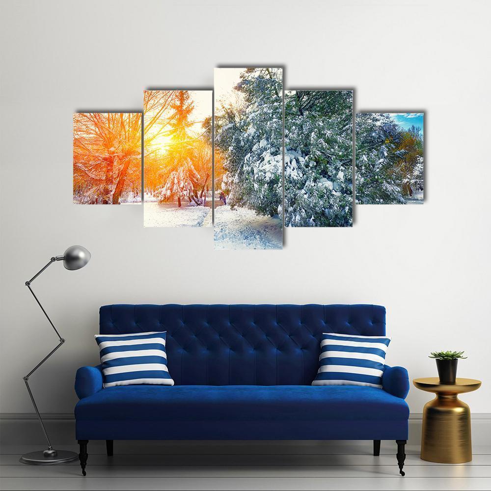 Sunlight Breaks Through The Pine Trees In Winter Canvas Wall Art-5 Star-Gallery Wrap-62" x 32"-Tiaracle