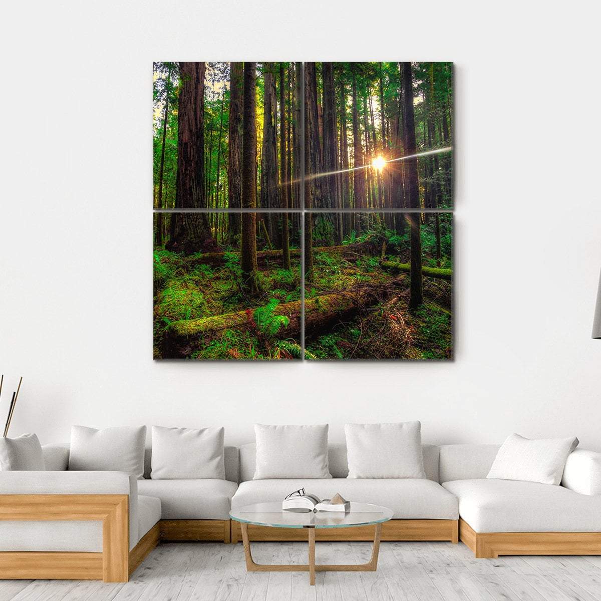 Redwoods Forest and Sunlight Canvas Wall Art-4 Square-Gallery Wrap-17" x 17"-Tiaracle