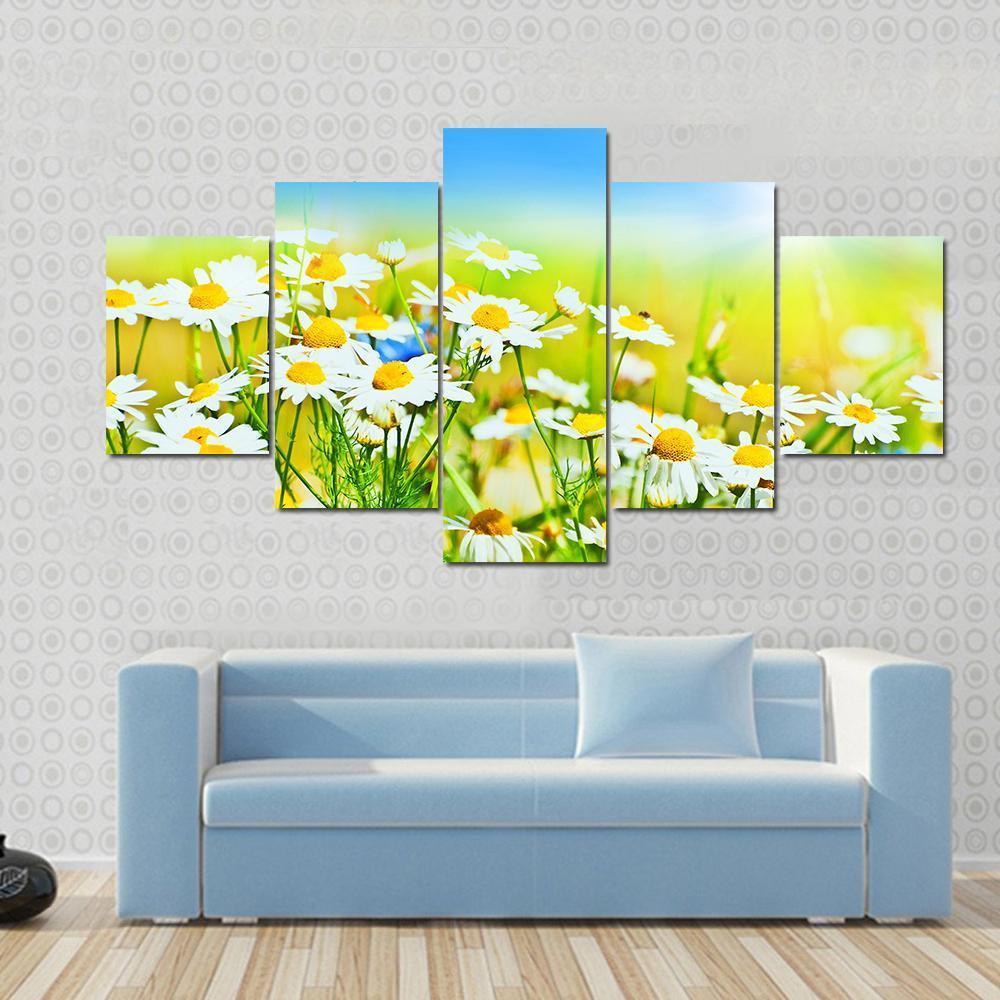 Sunny Daisy Field Canvas Wall Art-5 Star-Gallery Wrap-62" x 32"-Tiaracle