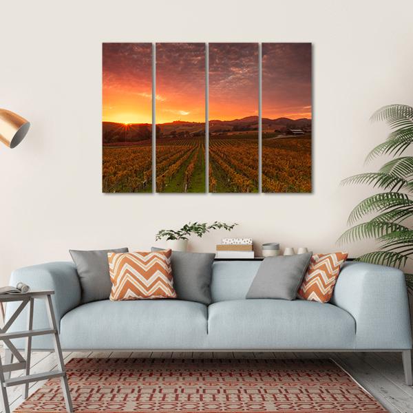 Sunrise Over Vineyards Of Napa Valley Canvas Wall Art-4 Horizontal-Gallery Wrap-34" x 24"-Tiaracle