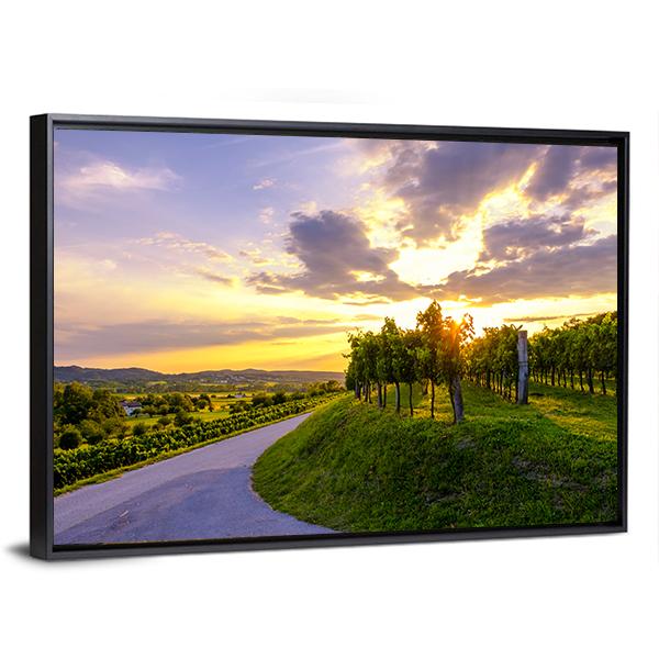 Sunset At Vineyards Of Vipava Valley Panoramic Canvas Wall Art-1 Piece-36" x 12"-Tiaracle