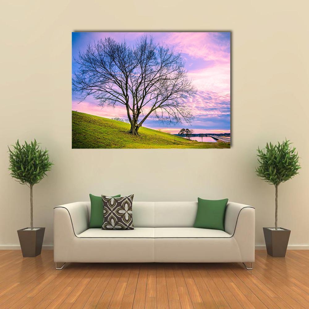 Sunset Behind Leafless Winter Tree Canvas Wall Art-1 Piece-Gallery Wrap-36" x 24"-Tiaracle