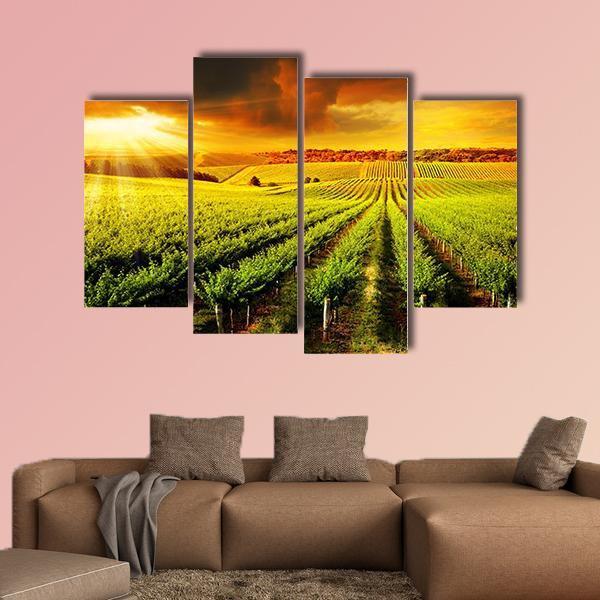 Sunset Over A Barossa Vineyard Canvas Wall Art-4 Pop-Gallery Wrap-50" x 32"-Tiaracle