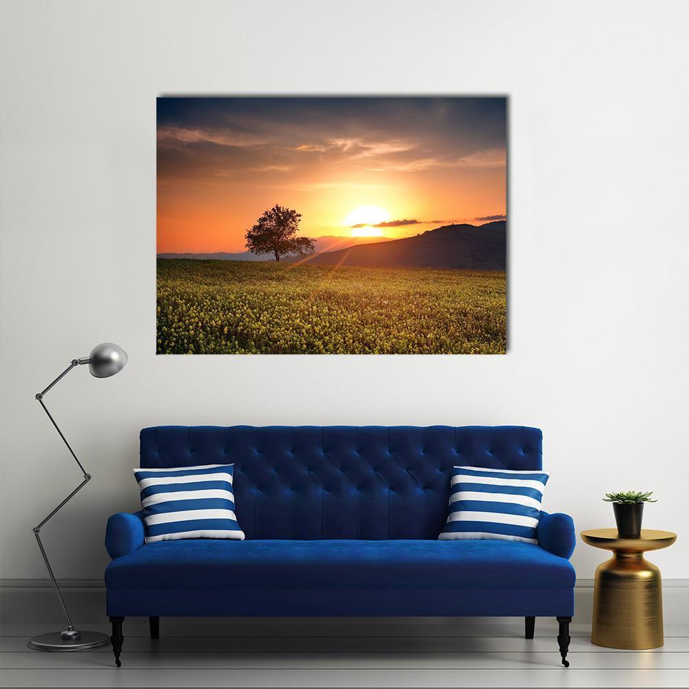 Sunset With Single Calm Tree Canvas Wall Art-1 Piece-Gallery Wrap-48" x 32"-Tiaracle