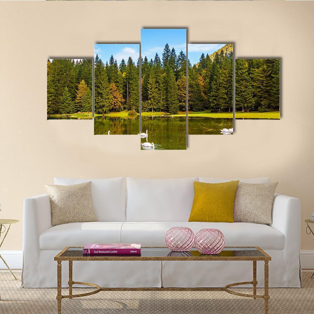 Swans In Lake In Northern Italy Canvas Wall Art-5 Star-Gallery Wrap-62" x 32"-Tiaracle