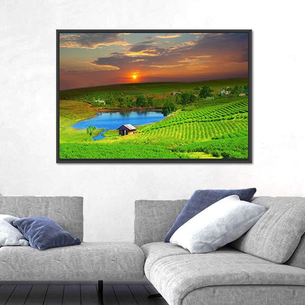 Tea Plantation Field Vietnam Canvas Wall Art-5 Horizontal-Gallery Wrap-22" x 12"-Tiaracle