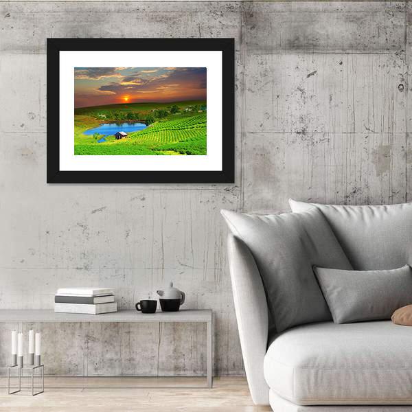 Tea Plantation Field Vietnam Canvas Wall Art-5 Horizontal-Gallery Wrap-22" x 12"-Tiaracle