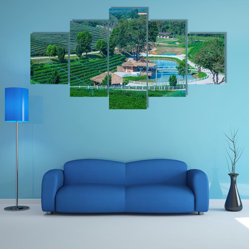Tea Plantation In Chiang Rai Canvas Wall Art-5 Star-Gallery Wrap-62" x 32"-Tiaracle