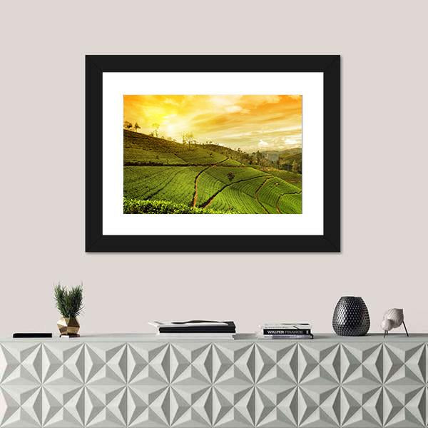 Tea Plantation Landscape Canvas Wall Art-5 Horizontal-Gallery Wrap-22" x 12"-Tiaracle