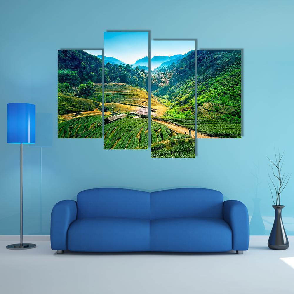 Tea Plantations On Angkhang Mountain Canvas Wall Art-4 Pop-Gallery Wrap-50" x 32"-Tiaracle