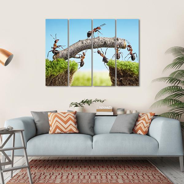 Ants Constructing Bridge Canvas Wall Art-4 Horizontal-Gallery Wrap-34" x 24"-Tiaracle