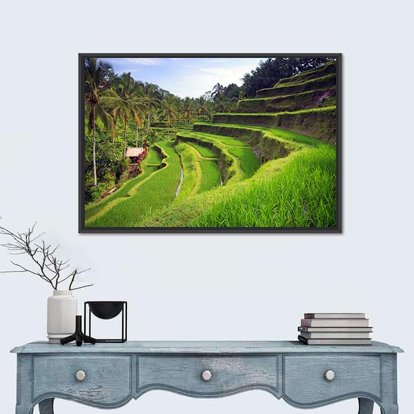 Terrace Rice Fields In Indonesia Canvas Wall Art-3 Horizontal-Gallery Wrap-25" x 16"-Tiaracle
