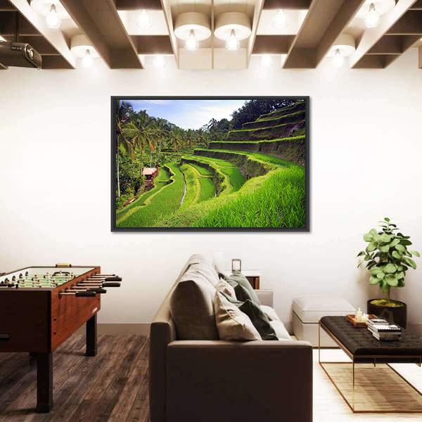Terrace Rice Fields In Indonesia Canvas Wall Art-3 Horizontal-Gallery Wrap-25" x 16"-Tiaracle