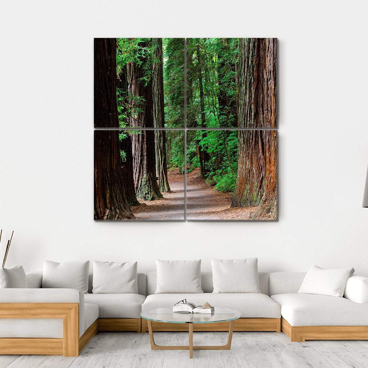 Redwoods Forest Rotorua Canvas Wall Art-4 Square-Gallery Wrap-17" x 17"-Tiaracle