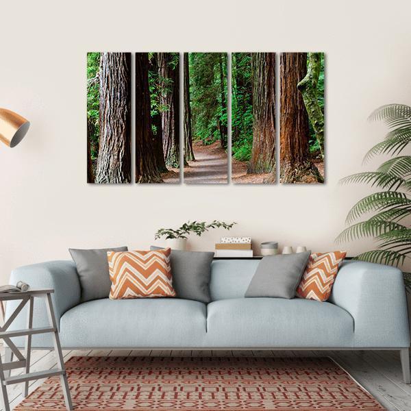 Redwoods Forest Rotorua Canvas Wall Art-5 Horizontal-Gallery Wrap-22" x 12"-Tiaracle