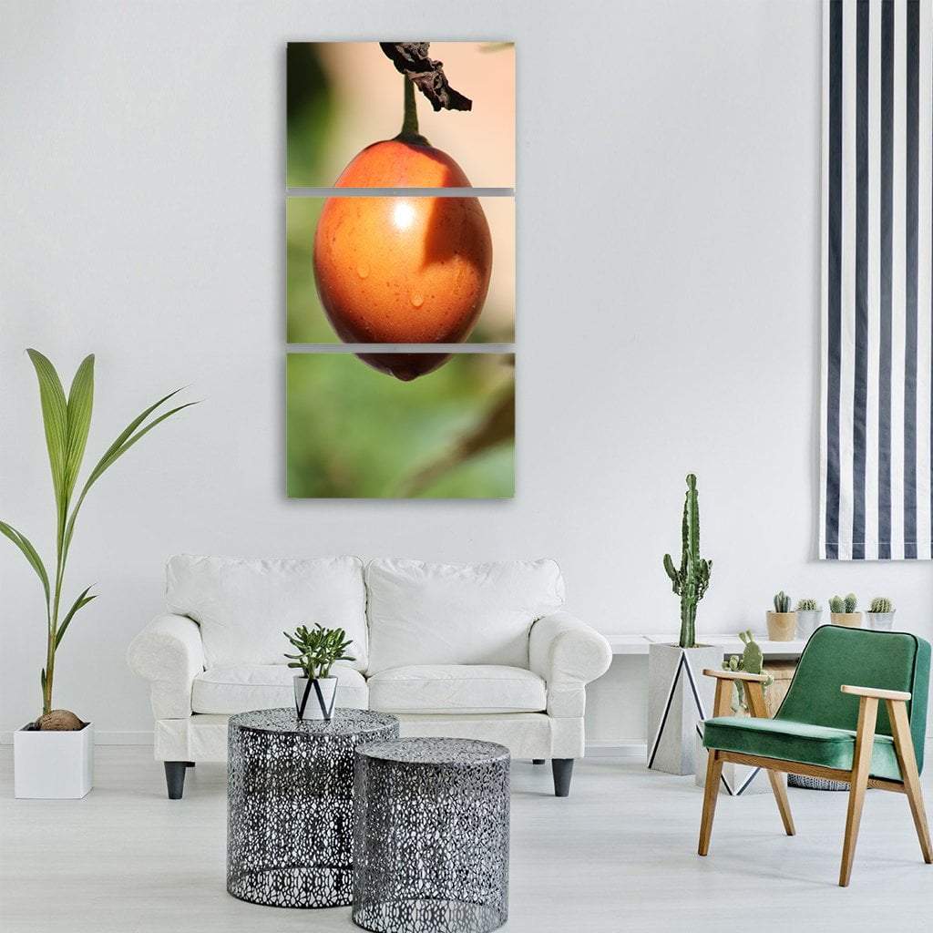 Tomato Fruit Tropical Plant Vertical Canvas Wall Art-3 Vertical-Gallery Wrap-12" x 25"-Tiaracle