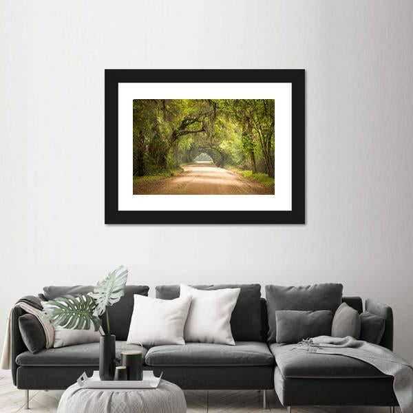 Travel In Deep Forest Of Spanish Moss Edisto Island Canvas Wall Art-1 Piece-Framed Print-20" x 16"-Tiaracle