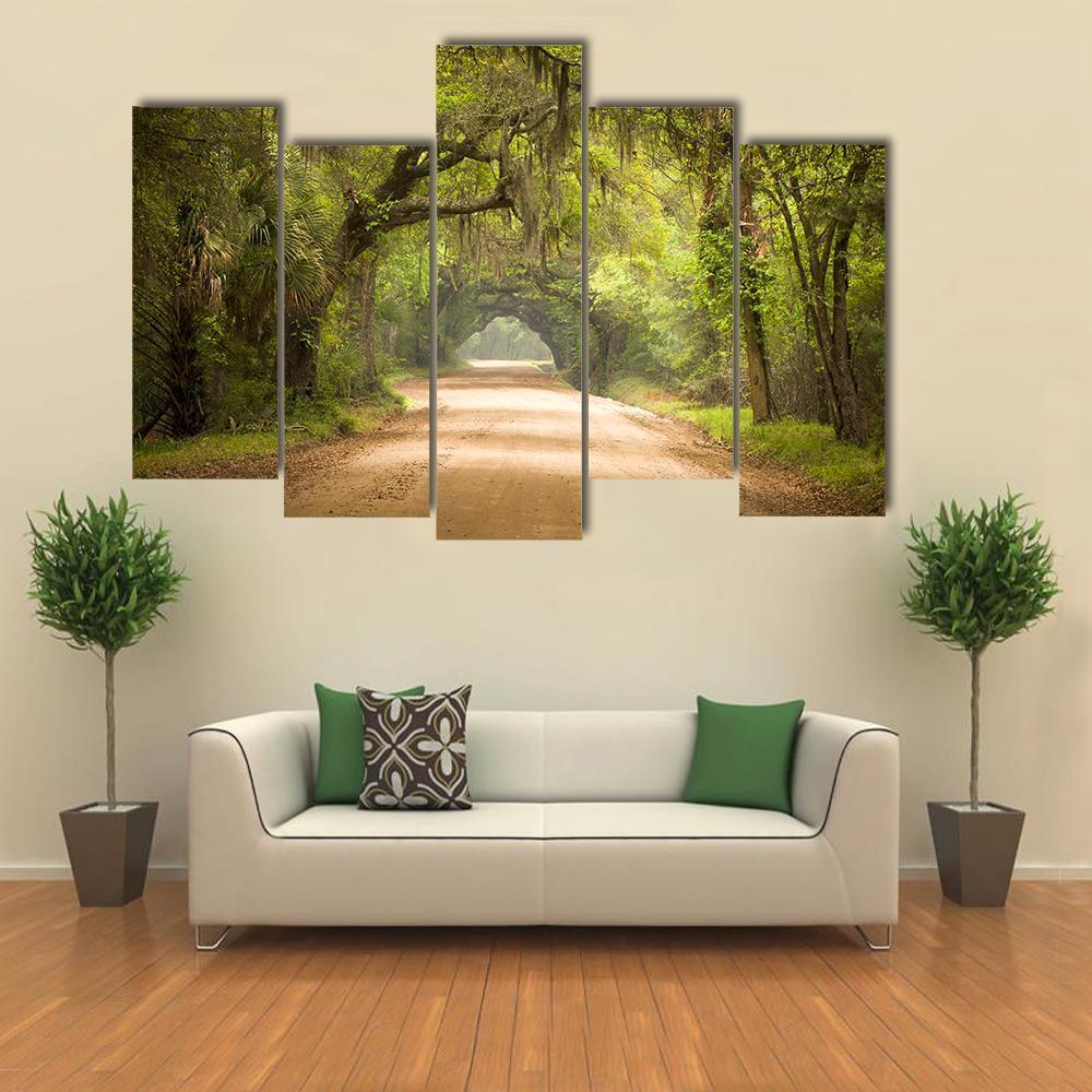 Travel In Deep Forest Of Spanish Moss Edisto Island Canvas Wall Art-5 Pop-Gallery Wrap-32" x 21"-Tiaracle