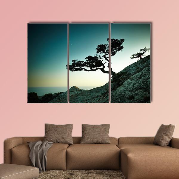 Tree & Sea At Sunset Canvas Wall Art-3 Horizontal-Gallery Wrap-37" x 24"-Tiaracle