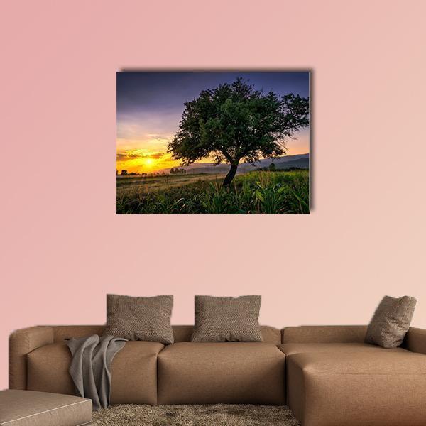 Tree By A Corn Field At Sunset Canvas Wall Art-1 Piece-Gallery Wrap-48" x 32"-Tiaracle
