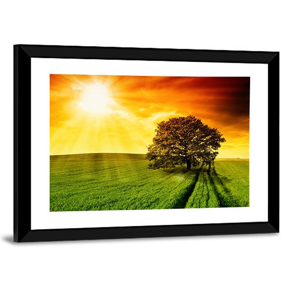 Tree In Field At Sunset Canvas Wall Art-3 Horizontal-Gallery Wrap-25" x 16"-Tiaracle