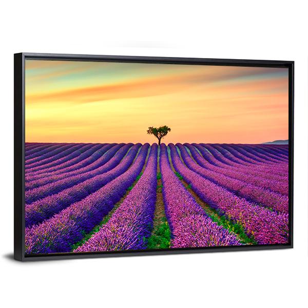 Tree In Lavender Field Canvas Wall Art-3 Horizontal-Gallery Wrap-25" x 16"-Tiaracle