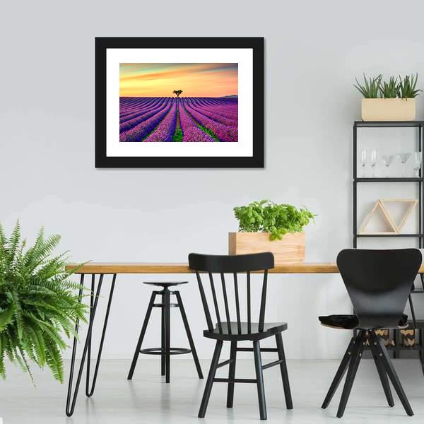 Tree In Lavender Field Canvas Wall Art-3 Horizontal-Gallery Wrap-25" x 16"-Tiaracle