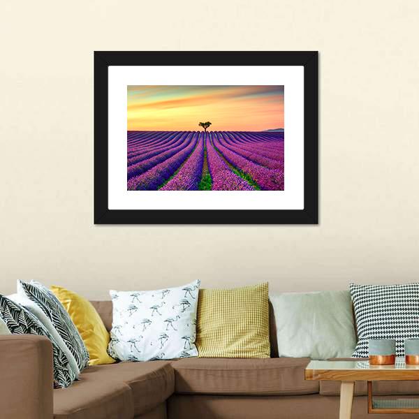 Tree In Lavender Field Canvas Wall Art-3 Horizontal-Gallery Wrap-25" x 16"-Tiaracle