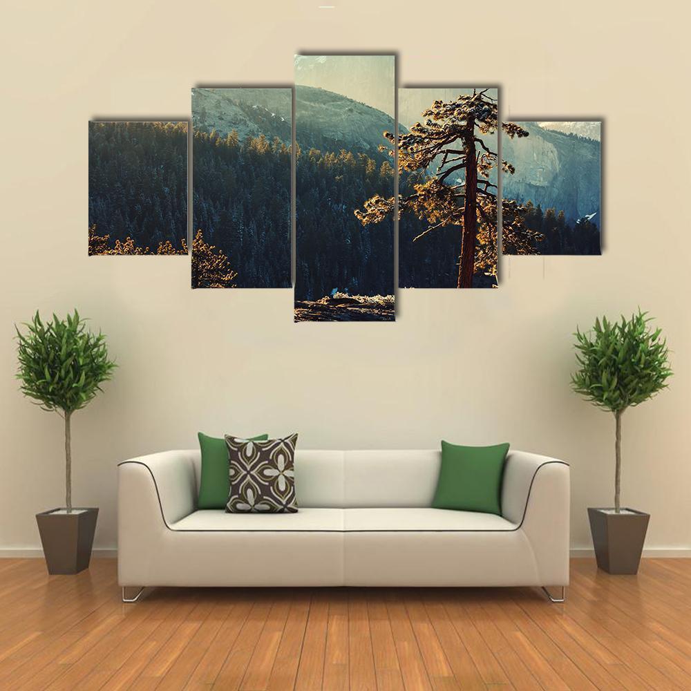 Tree In Yosemite Landscapes Canvas Wall Art-5 Star-Gallery Wrap-62" x 32"-Tiaracle
