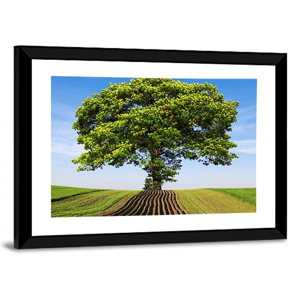 Tree On The Hill Canvas Wall Art-3 Horizontal-Gallery Wrap-25" x 16"-Tiaracle