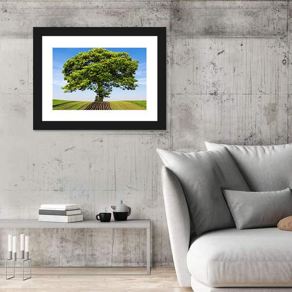 Tree On The Hill Canvas Wall Art-3 Horizontal-Gallery Wrap-25" x 16"-Tiaracle