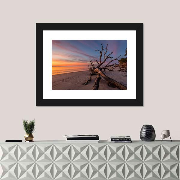 Tree Trunk On Beach Canvas Wall Art-3 Horizontal-Gallery Wrap-25" x 16"-Tiaracle