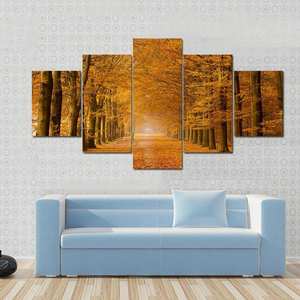 Trees Alongside Road In Autumn Canvas Wall Art-5 Star-Gallery Wrap-62" x 32"-Tiaracle