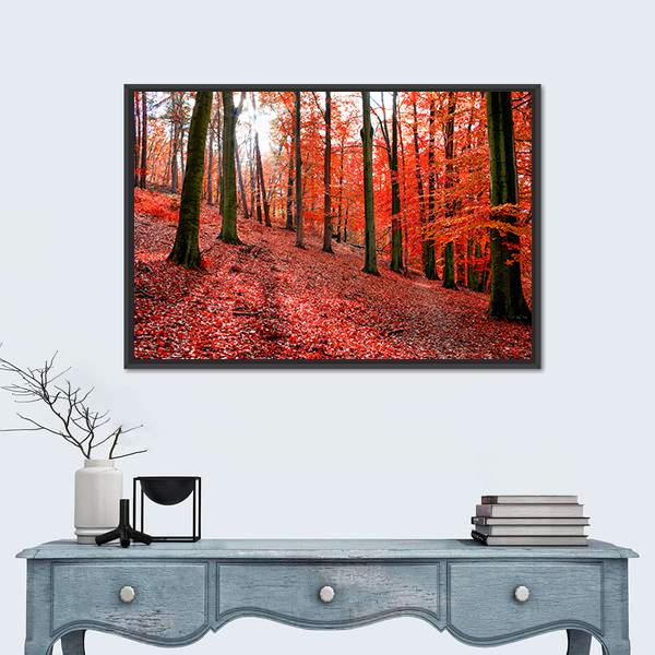 Trees With Red Autumn Leafs In Sonian Forest Canvas Wall Art-3 Horizontal-Gallery Wrap-25" x 16"-Tiaracle