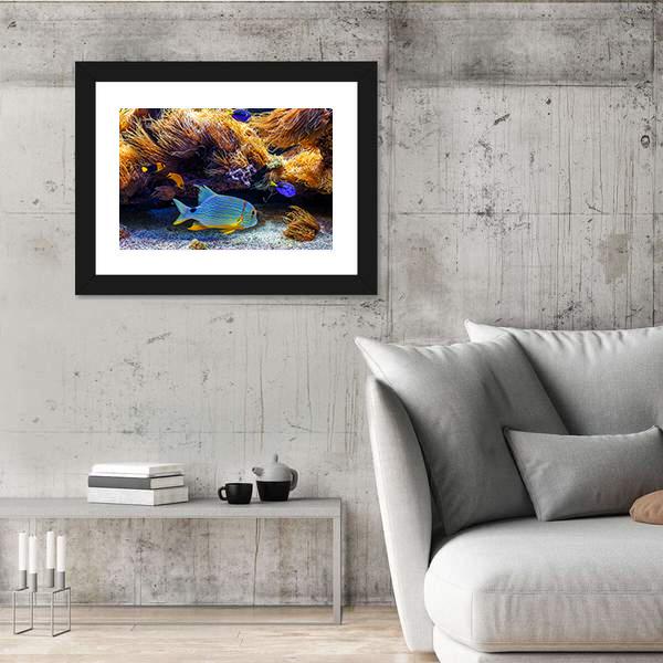 Tropical Exotic Fishes In Sea Panoramic Canvas Wall Art-1 Piece-36" x 12"-Tiaracle
