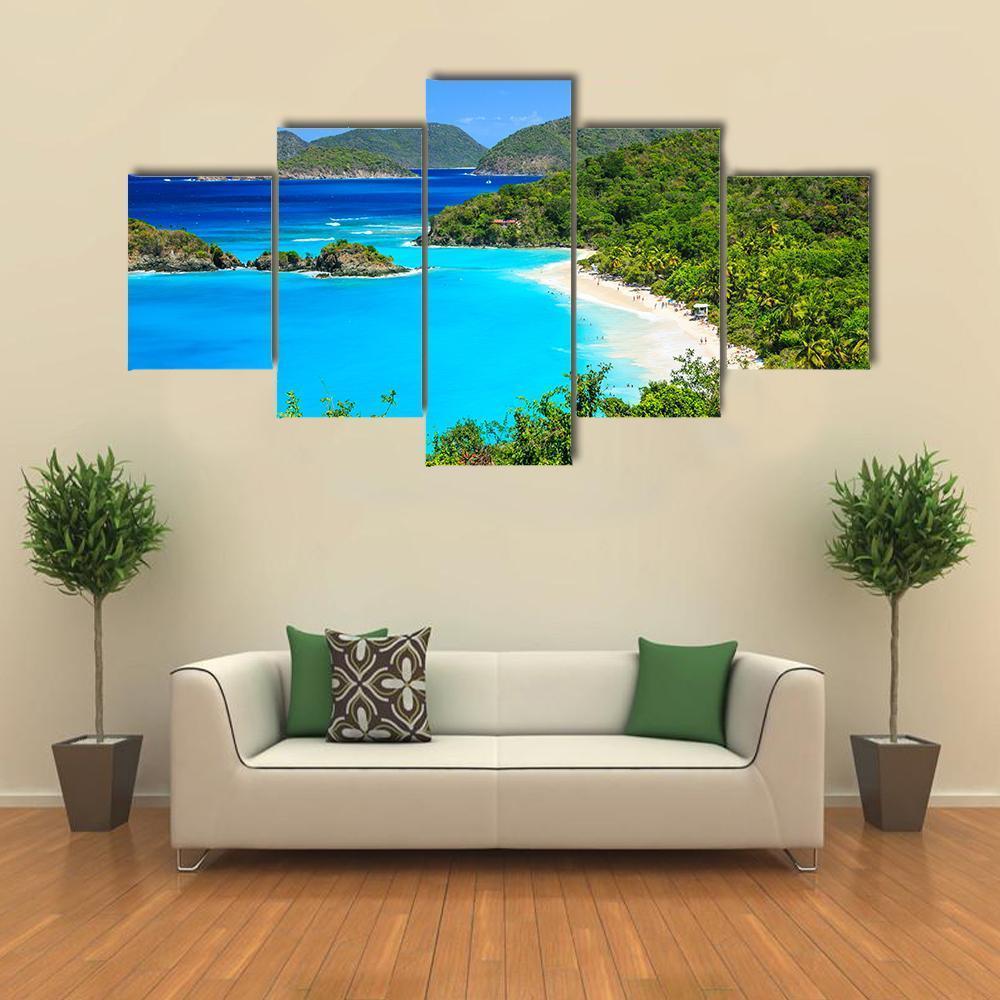 Trunk Bay On St John Island Canvas Wall Art-5 Star-Gallery Wrap-62" x 32"-Tiaracle