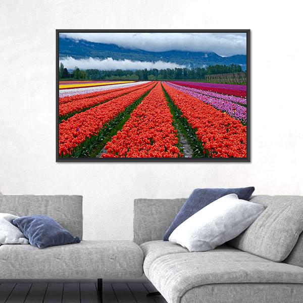 Tulip Festival In Chilliwack Panoramic Canvas Wall Art-1 Piece-36" x 12"-Tiaracle