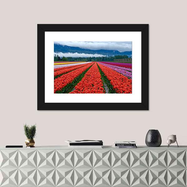 Tulip Festival In Chilliwack Panoramic Canvas Wall Art-1 Piece-36" x 12"-Tiaracle