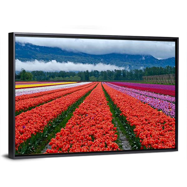 Tulip Festival In Chilliwack Panoramic Canvas Wall Art-1 Piece-36" x 12"-Tiaracle